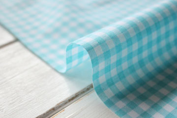 1mカットクロス　Europe cotton fabric Check サイアンブルー の商品イメージ画像