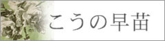 こうの早苗 ご紹介のイメージ画像