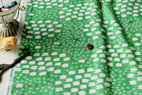 YUWA 綿（コットン）ダブルガーゼ　SHEEEEEP by Cotorienne（コトリエンヌ） グリーン の商品イメージ画像