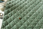 綿（コットン）シャツコール　キルト　りぼん　エクルラリセエンヌ　スモークグリーン の商品イメージ画像