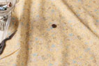 YUWA 綿（コットン）ローン　Blanche　プディングイエロー　の商品イメージ画像