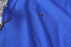 綿麻（コットンリネン）カラーキャンバス　無地　ロイヤルブルー の商品イメージ画像