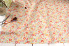 綿（コットン）ブロード　フィオリスタ　オランジュ の商品イメージ画像