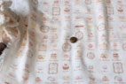 YUWA 綿（コットン） ダブルガーゼ　マカロン　ベビーホワイト の商品イメージ画像