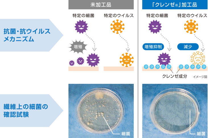 抗菌・抗ウイルスのメカニズムのイメージ画像
